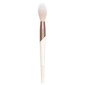 Luxe Soft Pink Highlighter Face Powder Brush, EcoTools