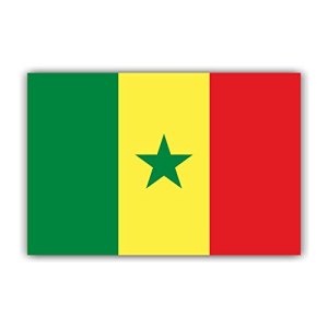 Womaha 30 Sheets Senegal Flag Temporary Tattoos Small Package