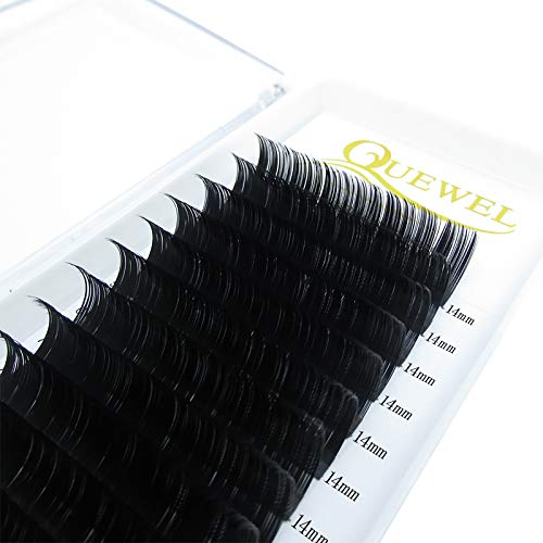 QUEWEL Lash Extension Kit, Clusters Bond & Seal, Applicator Tool, Glue Remover, Natural Look (FDD-H01-kit) - Image 85