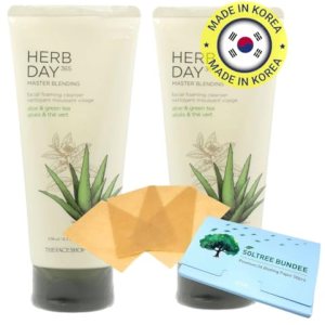 2 Pack of Herb Day 365 Aloe Cleansing Foam 5.75 Oz/170ml with Oil Blotting Papers