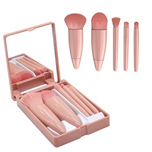CANIPHA Makeup Brushes Set with Mirror, Travel Portable Professional Make Up Brushes, Small Makeup Brush Case Apply to Face Eyebrow Eyeshadow Blush and Lip Gloss, Pack of 5, Pink