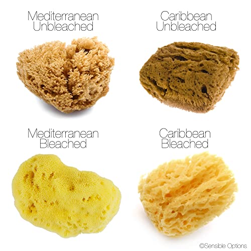 FacialCare Sea Sponges, Caribbean Silk Sponges, Natural And Chemical Free, For Sensitive Skin, Golden Yellow, 1 Count - Image 2