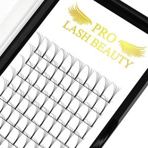 Long Stem Premade Fans 5D-D-0.07-8-15mix Eyelash Extensions