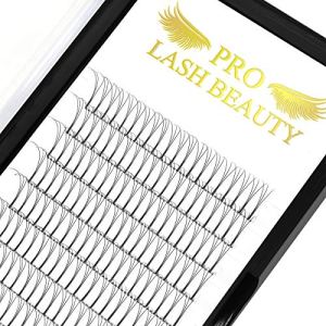 Long Stem Premade Fans Eyelash Extensions .07 .10 3D-D-0.07-8-15mix C D Curl 9-42mm
