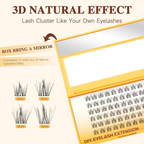 QUEWEL Lash Extension Kit, Clusters Bond & Seal, Applicator Tool, Glue Remover, Natural Look (FDD-H01-kit) - Image 13
