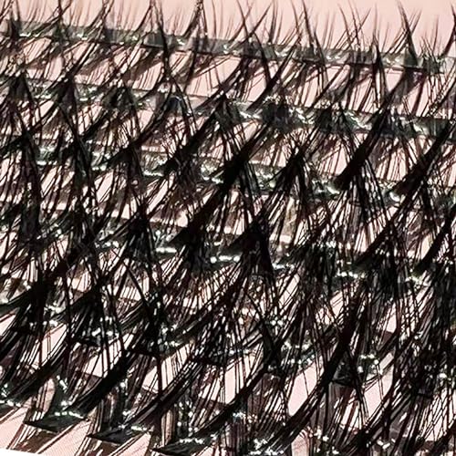 Lush Lash EYE LASHES 240 Individual Clusters DIY Fluffy Extension Kit Natural Look 09-16mm C Curl Eyelashes - Image 3