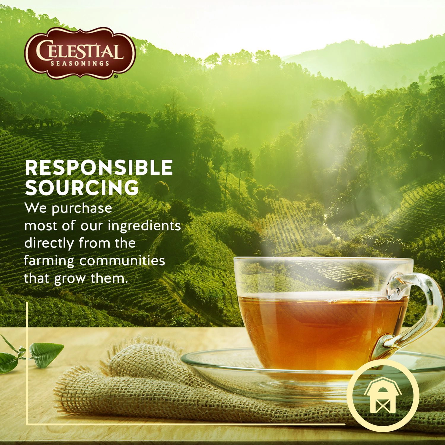 Celestial Seasonings Herbal Tea Fruit Sampler - Image 3