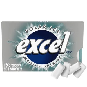 Excel Polar Ice Flavoured Sugar Free Chewing Gum, 12 Pieces, 1 Pack