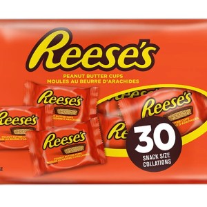 Reese's Peanut Butter Cup Snack Sized Halloween Candy