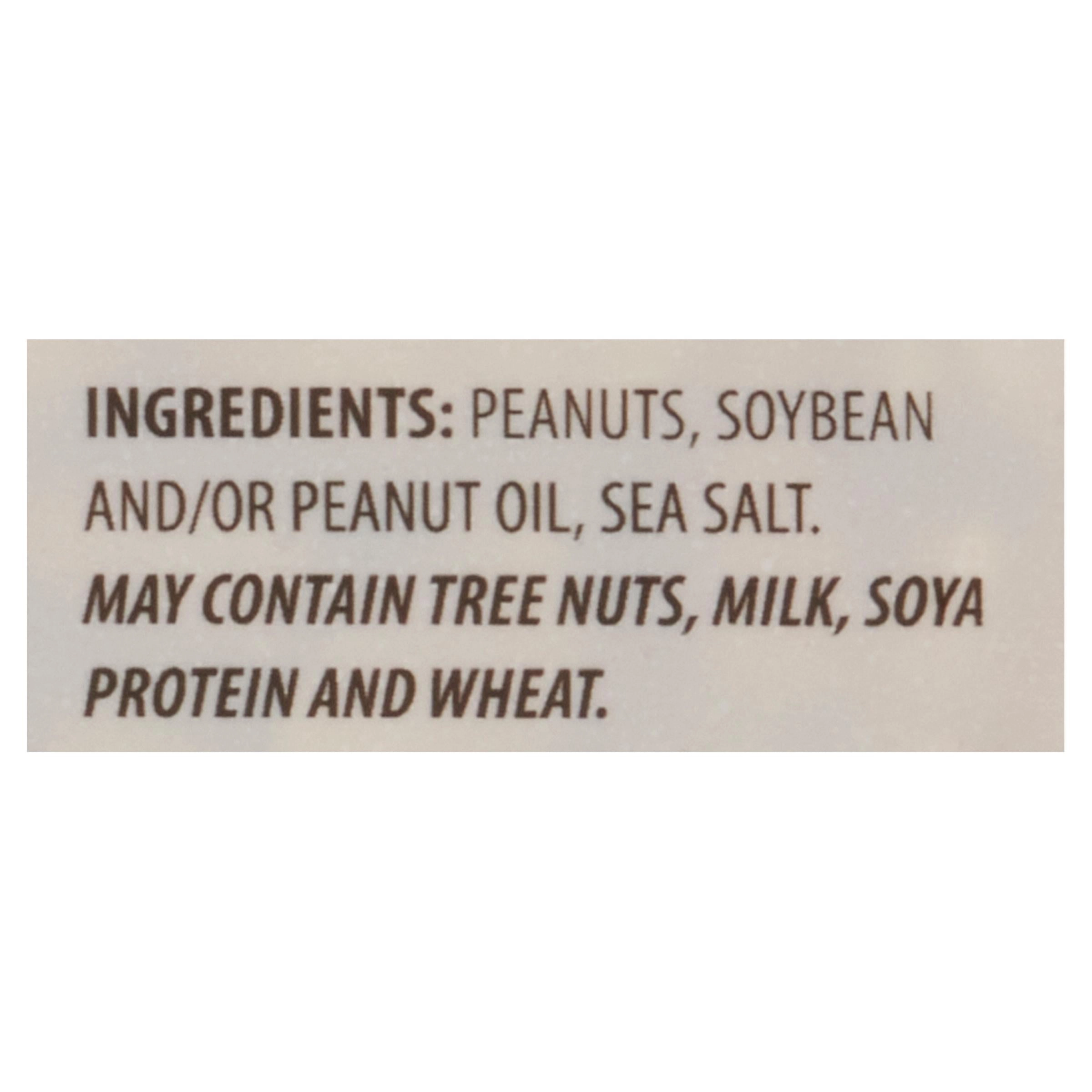 Joe's Tasty Travels Roasted and Salted Jumbo Virginia Peanuts 450g - Image 4