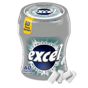 Excel Polar Ice Flavoured Sugar Free Chewing Gum, 60 Pieces, 1 Bottle