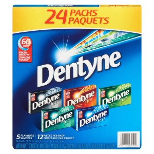 Dentyne Ice Assorted Sugar-Free Gum, 24 Pack (12 Pieces Per Pack)