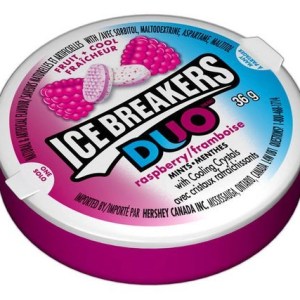 Hershey's Ice Breakers Duos Raspberry Mints 36g