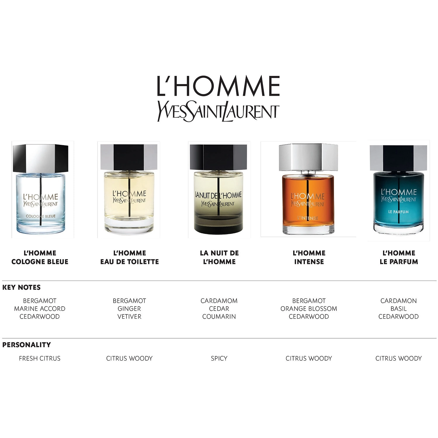 Yves Saint Laurent L'Homme 6.7 oz/200 mL Woody & Earthy Layerable Scent - Image 5