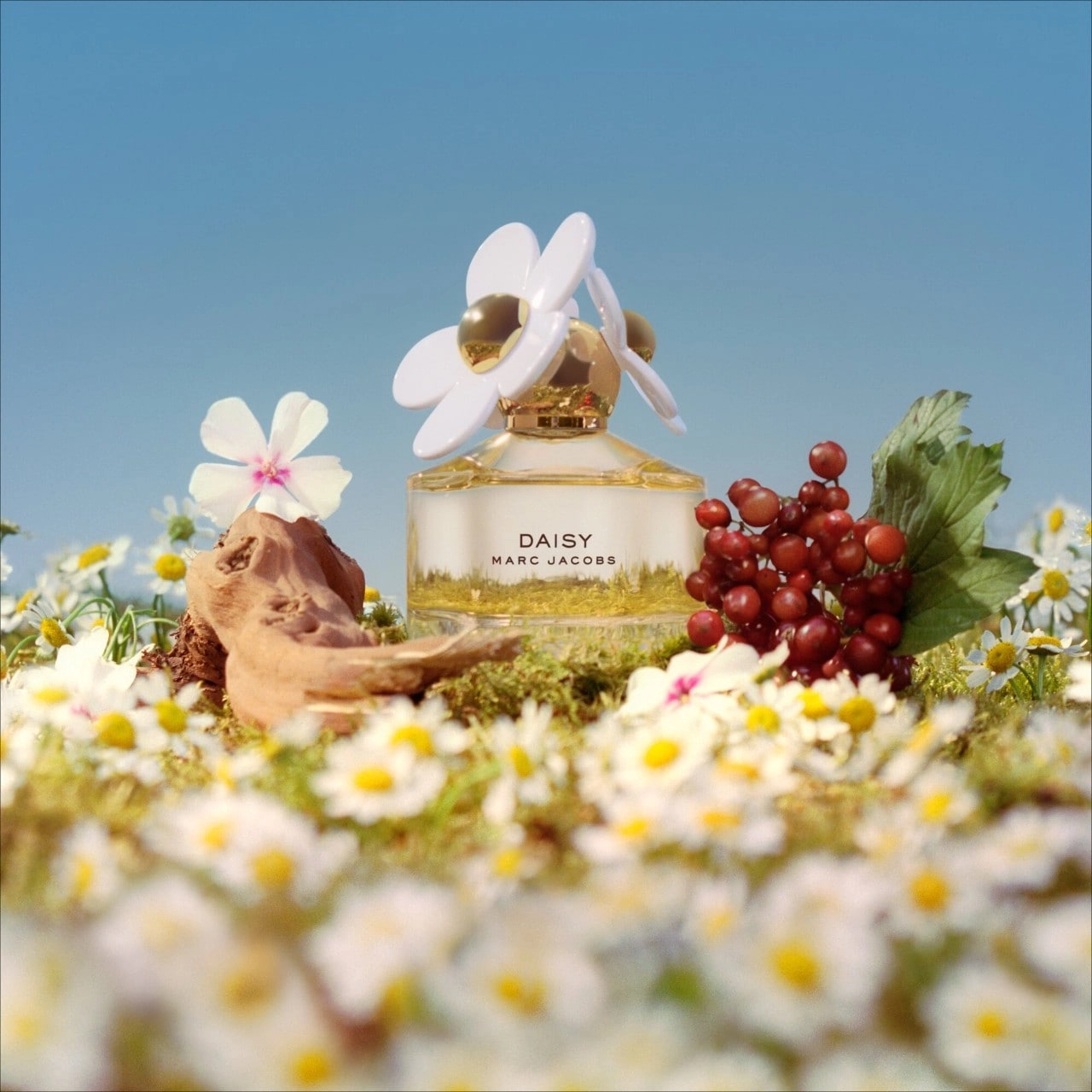Marc Jacobs Fragrances Daisy Rollerball 0.33 oz/10 mL Floral Layerable Scent - Image 2