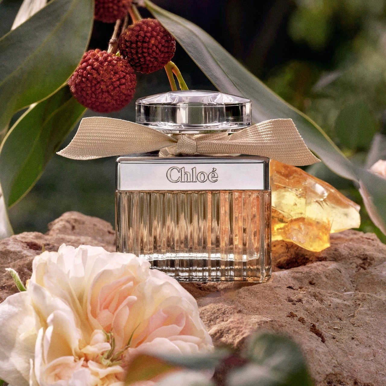 Chloé Chloé Eau de Parfum 1.6 oz/47 mL Floral Layerable Scent - Image 2