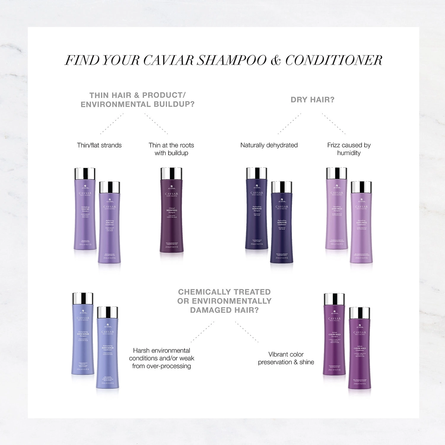 ALTERNA Haircare CAVIAR Anti-Aging® Replenishing Moisture Shampoo 8.5 oz/250 mL Limited Edition - Image 11