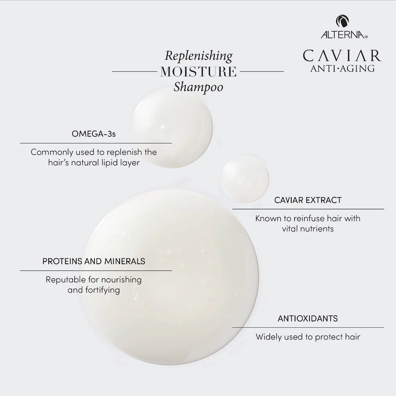 ALTERNA Haircare CAVIAR Anti-Aging® Replenishing Moisture Shampoo 8.5 oz/250 mL Limited Edition - Image 3