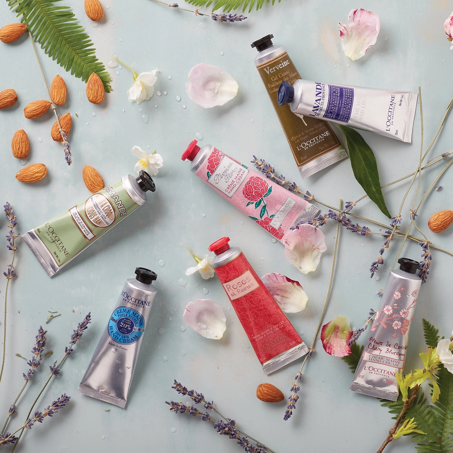 L'Occitane Shea Hand Cream - Shea Butter, Cream Formula, Hydrating, Dry Skin - Image 2