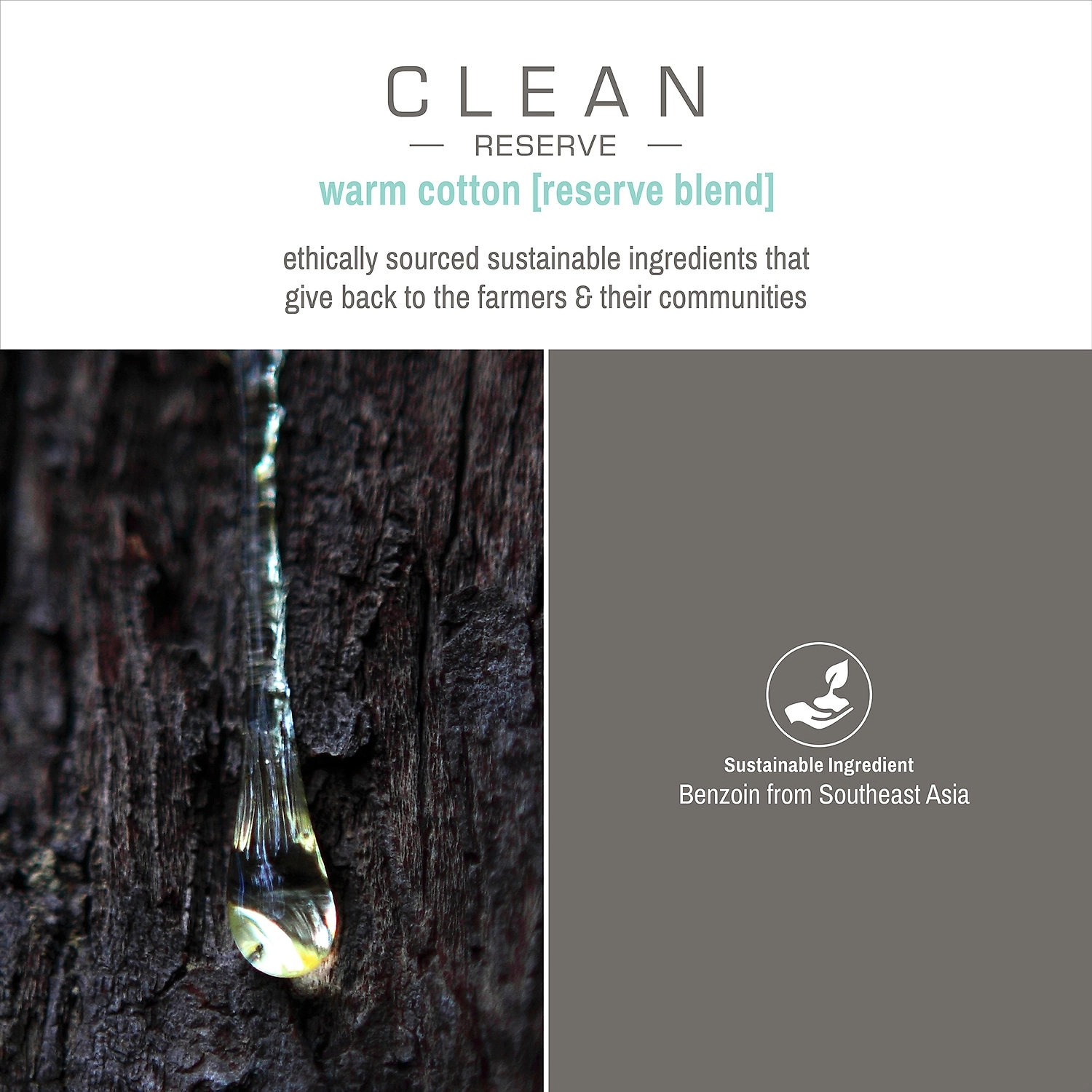 CLEAN RESERVE Reserve - Warm Cotton 3.4 oz/ 101 mL Vegan Fragrance - Image 5
