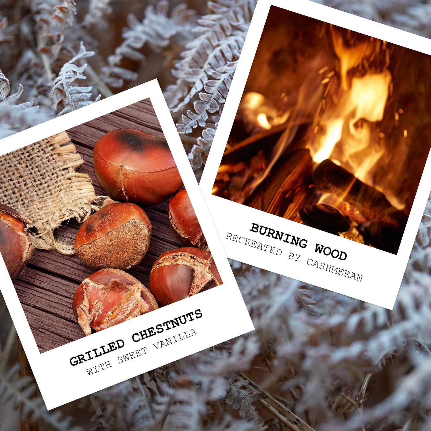 Maison Margiela ’REPLICA’ By the Fireplace 1 oz/30 mL Warm & Spicy Unisex Cologne - Image 3