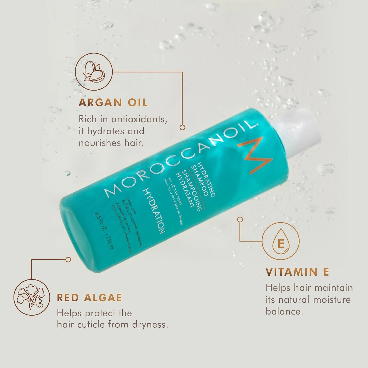 Moroccanoil Hydrating Shampoo 16.9 oz/500 mL Limited Edition - Image 4