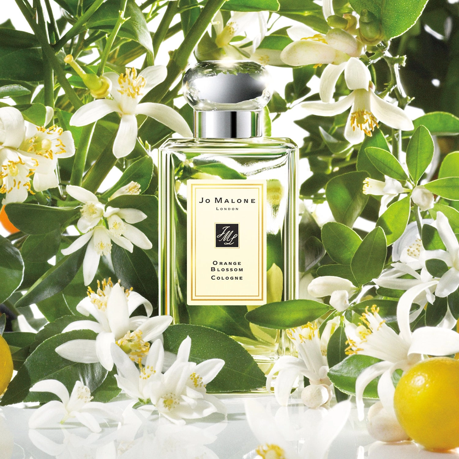 Jo Malone London Orange Blossom Cologne 3.4 oz/100 mL Unisex Layerable Scent - Image 3