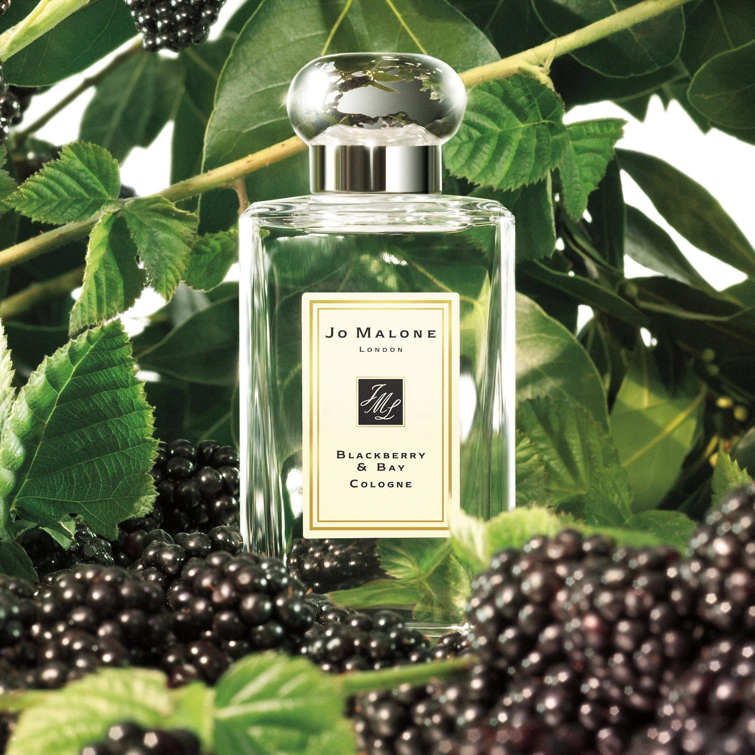 Jo Malone London Blackberry & Bay Cologne 3.4 oz/100 mL Unisex Fresh Citrus & Fruits - Image 5