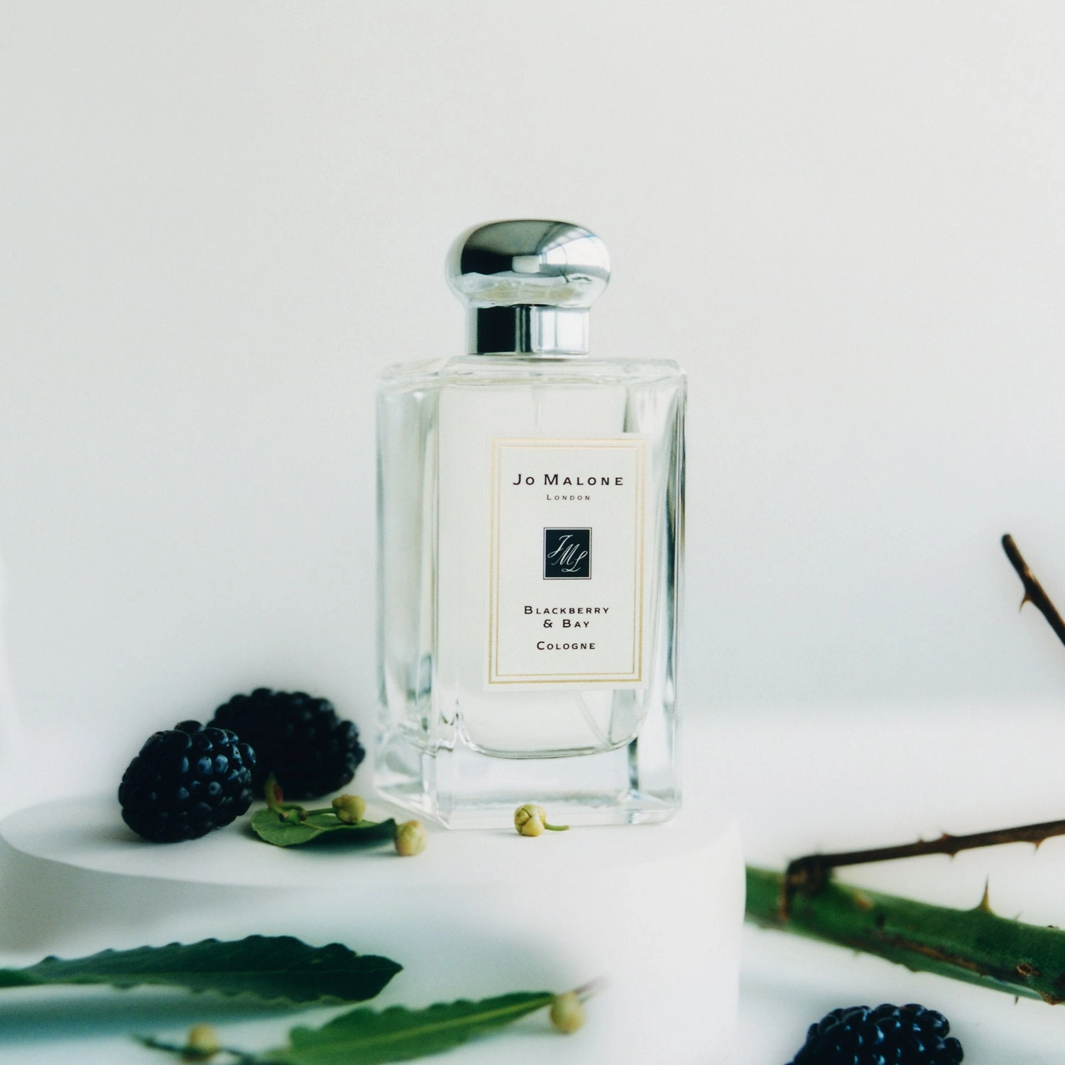 Jo Malone London Blackberry & Bay Cologne 3.4 oz/100 mL Unisex Fresh Citrus & Fruits - Image 4