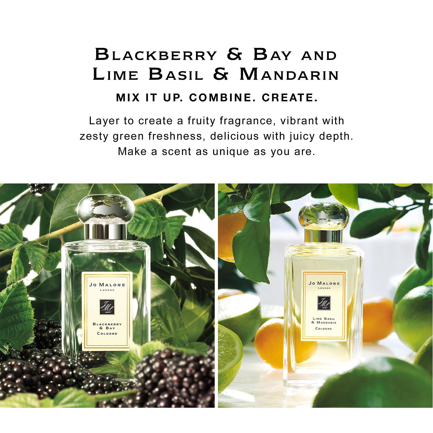 Jo Malone London Blackberry & Bay Cologne 3.4 oz/100 mL Unisex Fresh Citrus & Fruits - Image 2