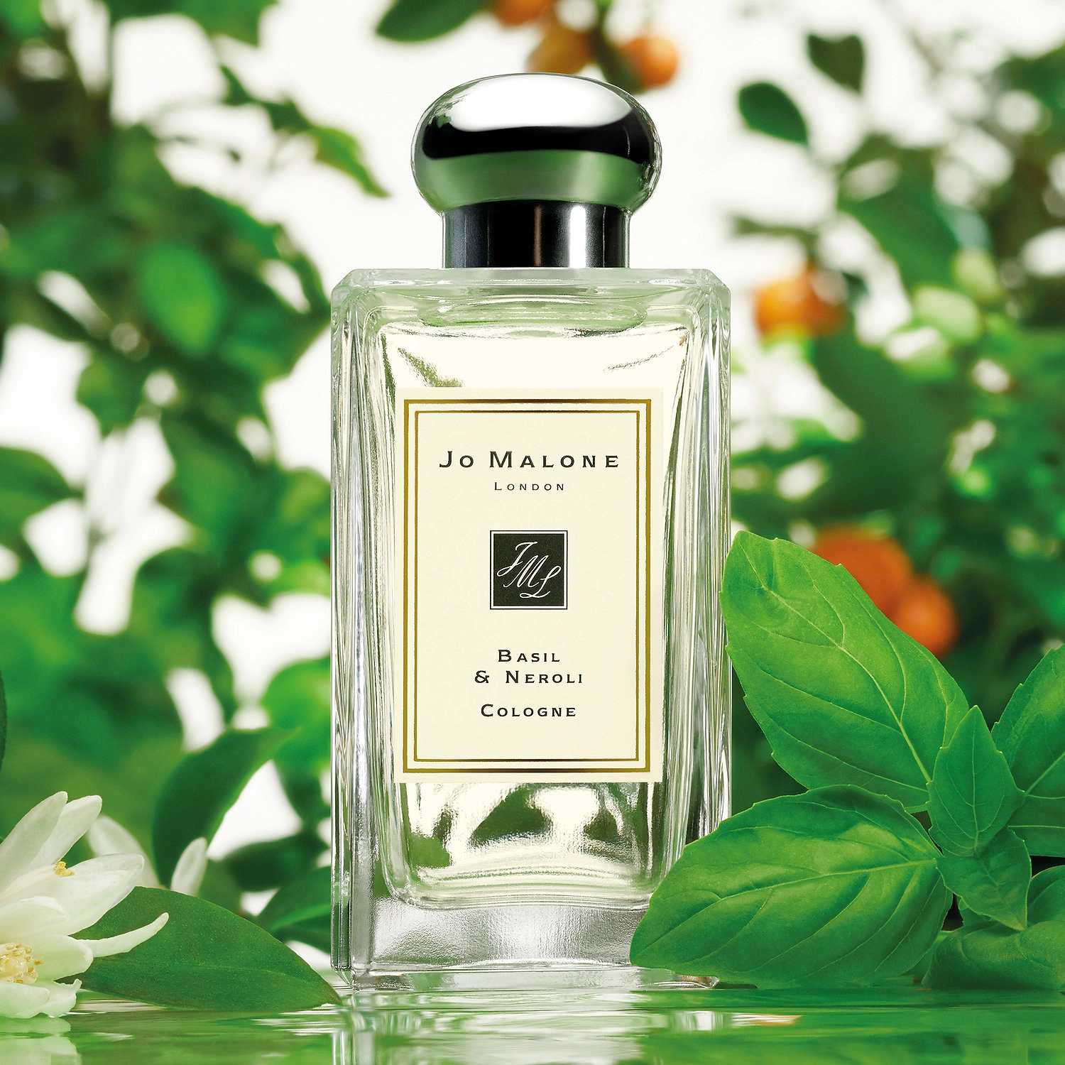 Jo Malone London Basil & Neroli Cologne 3.4 oz/100 mL Earthy & Woody Earthy Greens & Herbs - Image 5
