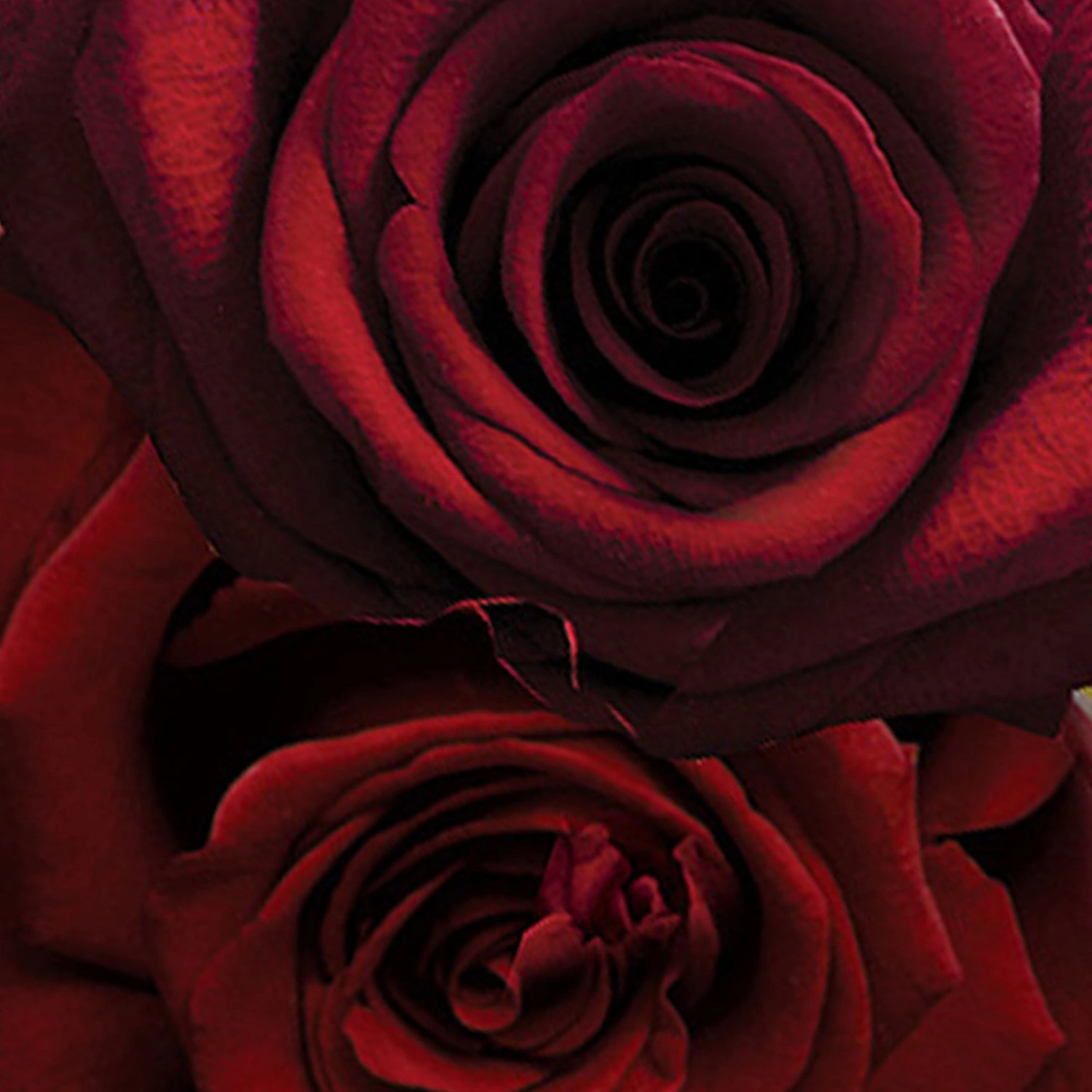 Jo Malone London Red Roses Scent Surround™ Diffuser 5.6 oz/165 mL Floral Scent - Image 4