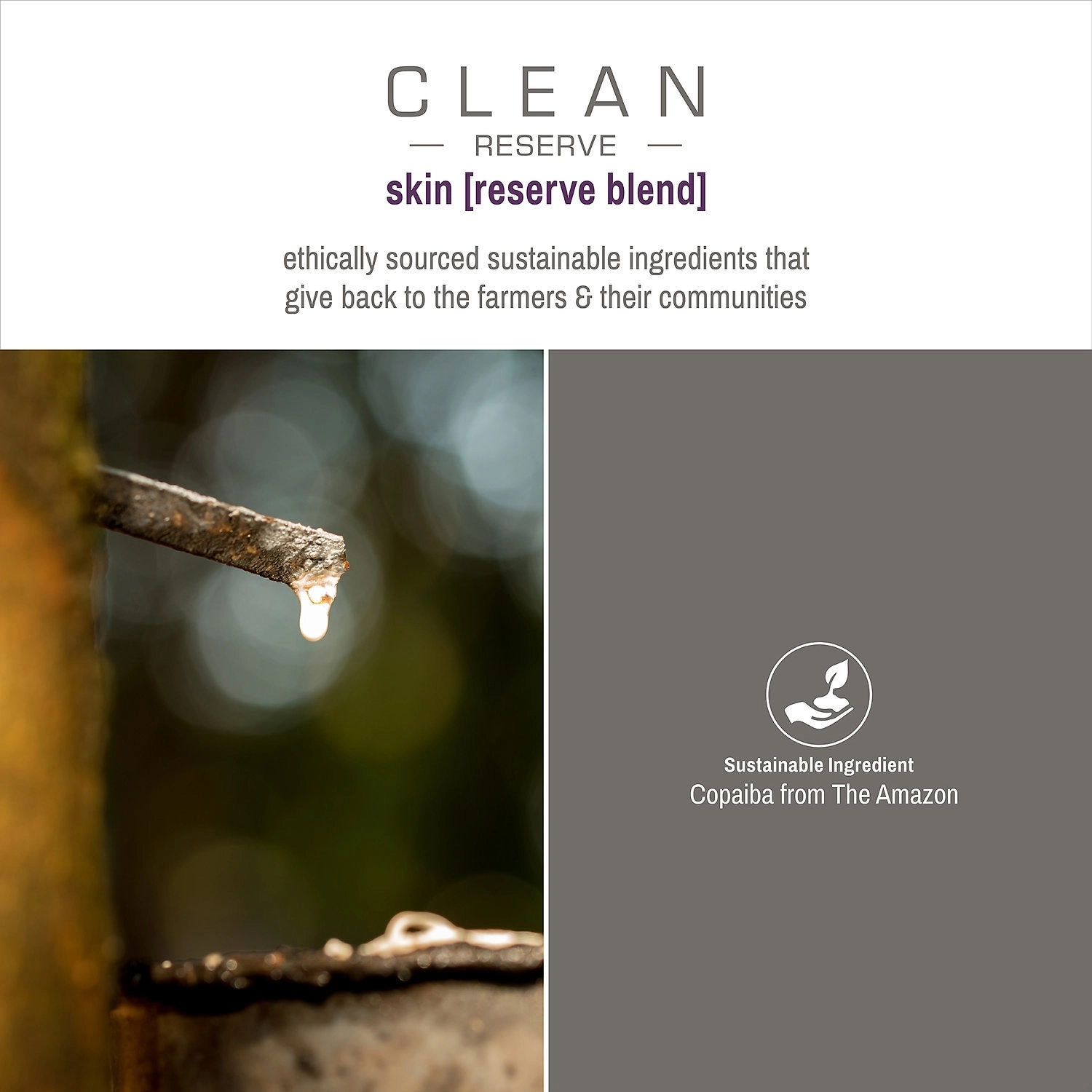 CLEAN RESERVE Reserve - Skin Travel Spray 0.34 oz/10 mL Vegan Gluten Free - Image 4