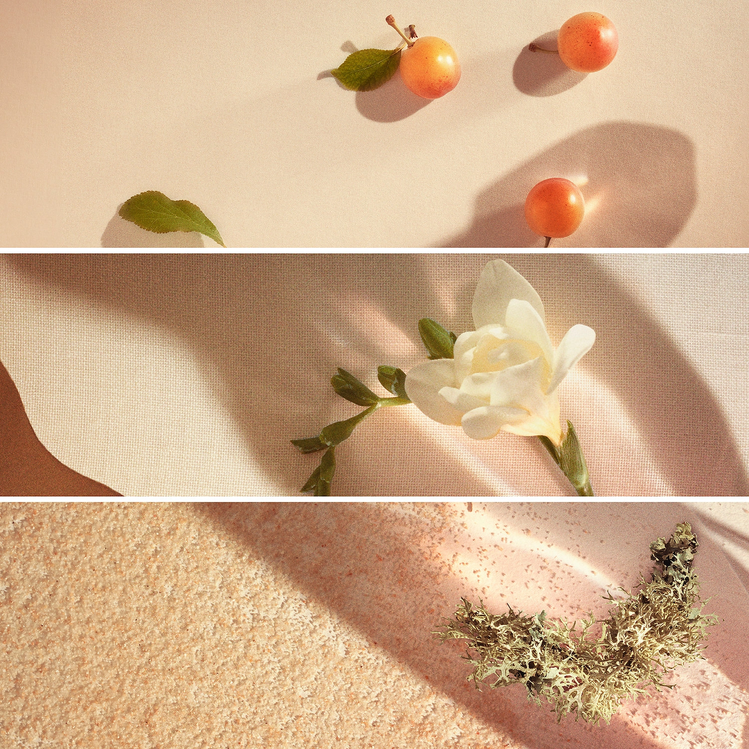 Chloé Nomade Eau de Parfum 1.7 oz/50 mL Floral Layerable Scent - Image 3