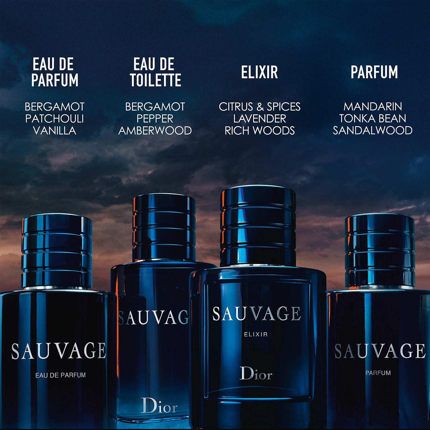 Dior Sauvage Eau de Parfum 6.8 oz/200 mL Earthy & Woody Citrus & Woods - Image 7
