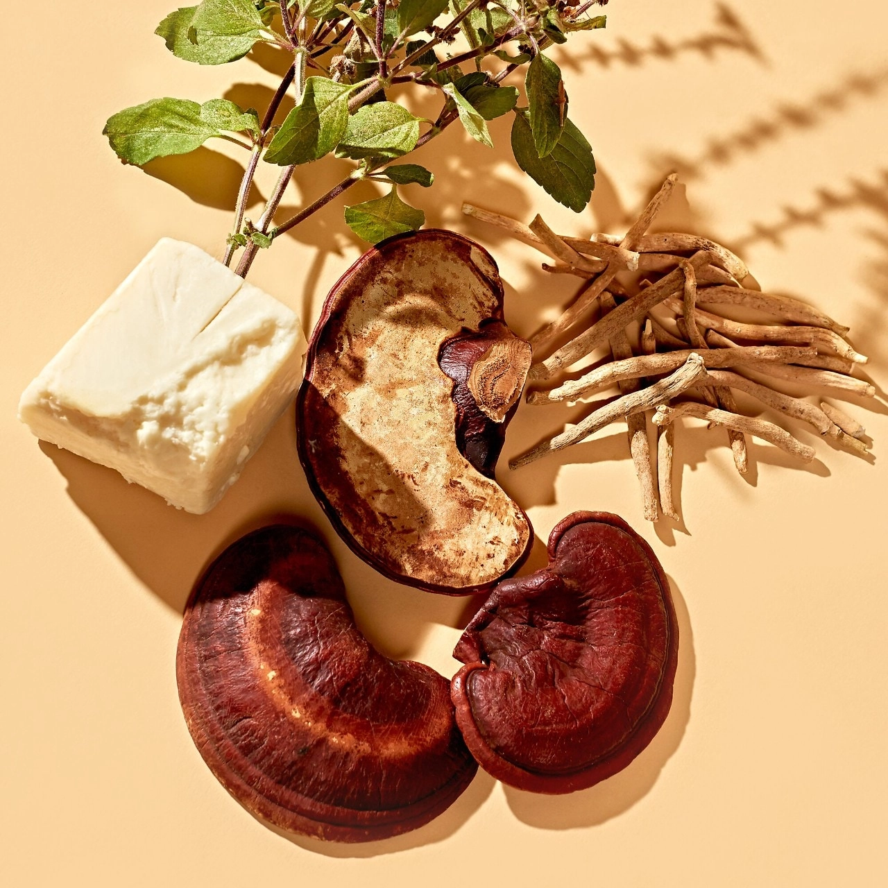 Youth To The People Adaptogen Deep Moisturizing Cream with Ashwagandha + Reishi - 2 oz/ 60 mL - Image 10