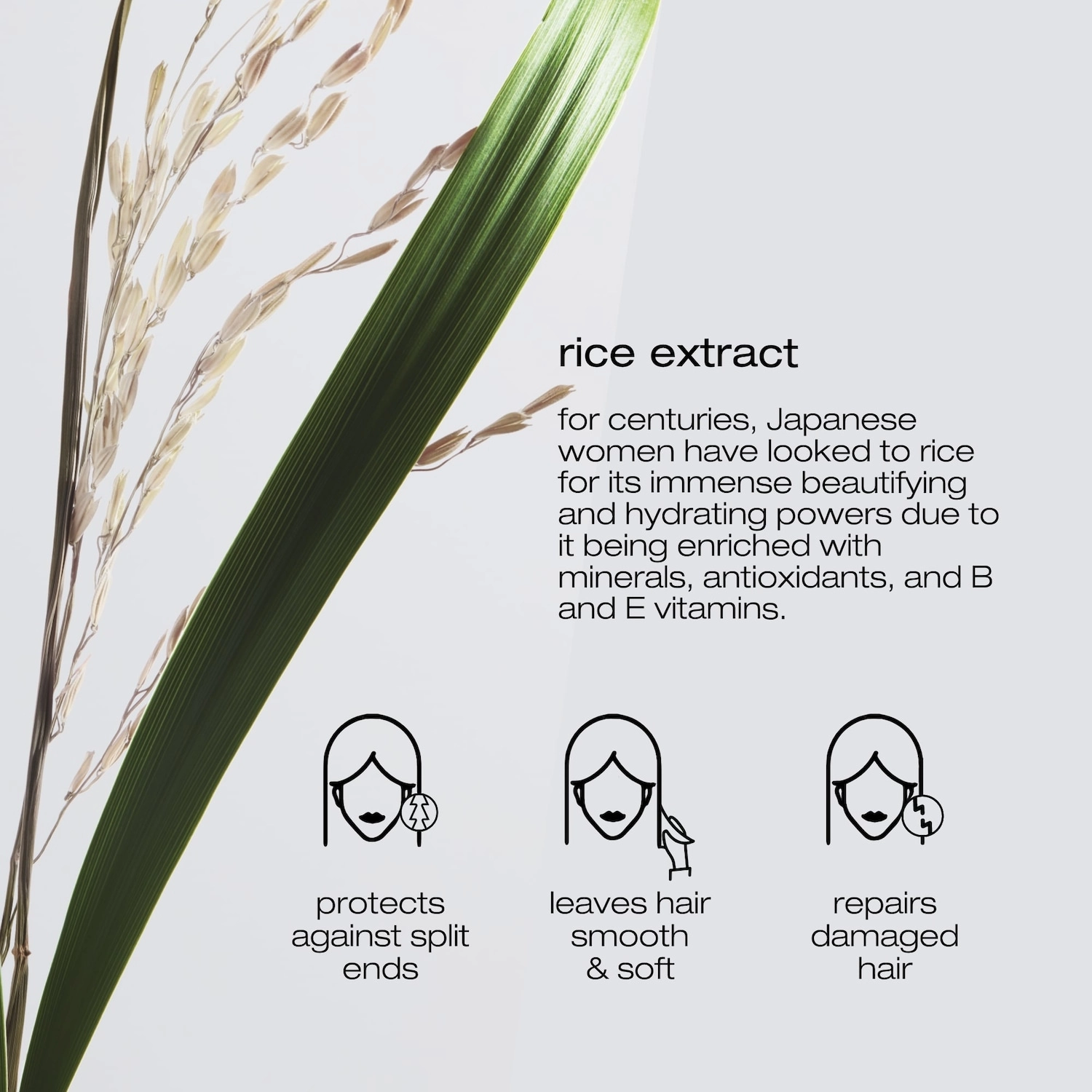 Shu Uemura Ultimate Reset Conditioner for Very Damaged Hair 8 oz/ 250 mL - Image 3