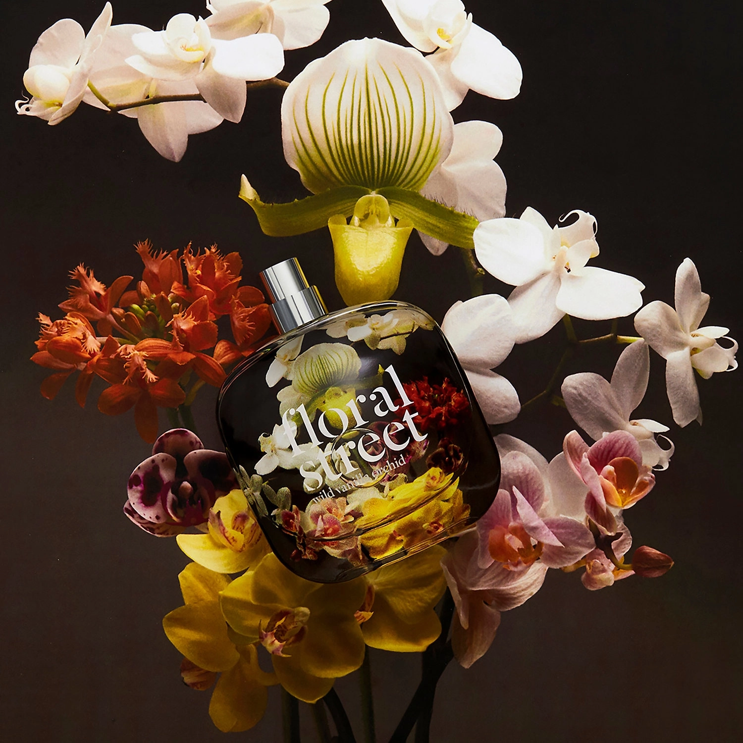Floral Street Wild Vanilla Orchid Eau De Parfum 0.33 oz / 10 mL - Vegan, Warm & Spicy Scent - Image 5