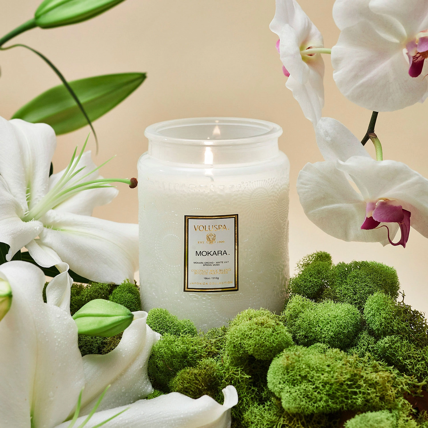 VOLUSPA Mokara Glass Jar Candle Fresh Scent - Image 2