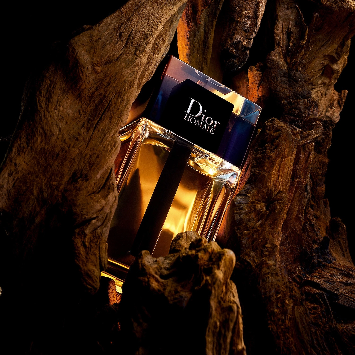 Dior Homme Eau de Toilette 5 oz/150 mL Earthy & Woody Warm Woods - Image 3