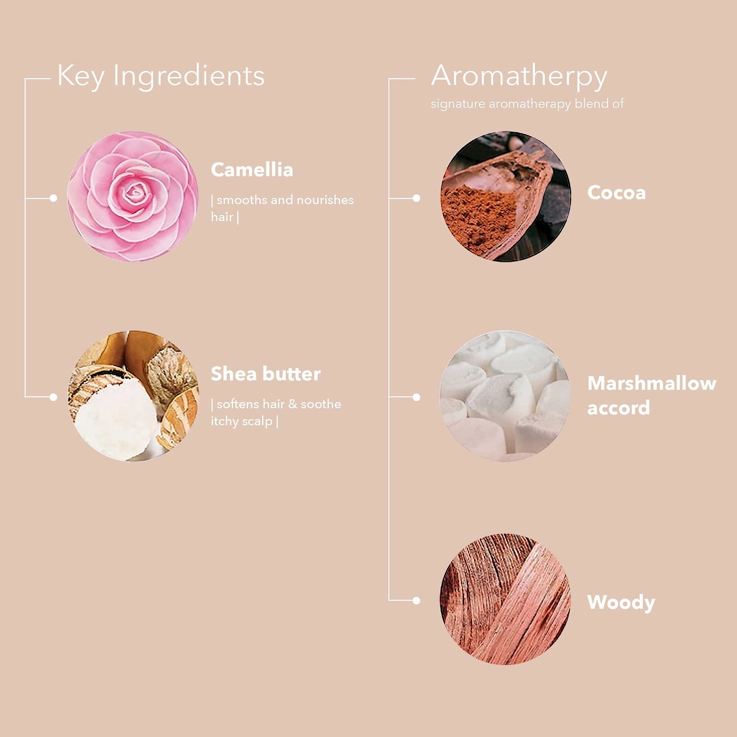 Pureology Smooth Perfection Shampoo 9 fl oz/ 266 mL Vegan Color Care Frizz Control - Image 5