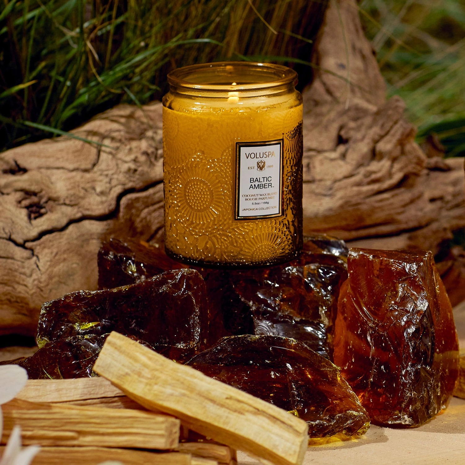 VOLUSPA Baltic Amber Glass Candle 5.5 oz/156g Fresh Scent - Image 5