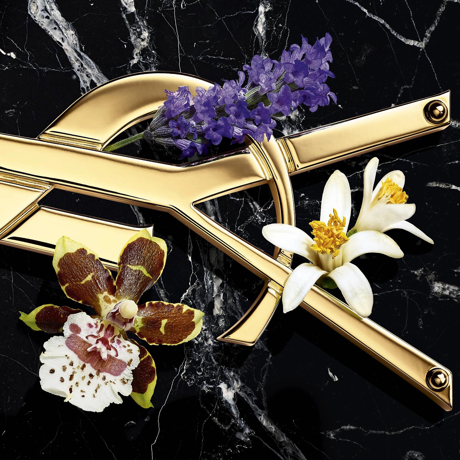 Yves Saint Laurent LIBRE Eau de Parfum Intense 1.6 oz/50 ml Warm Floral - Image 2