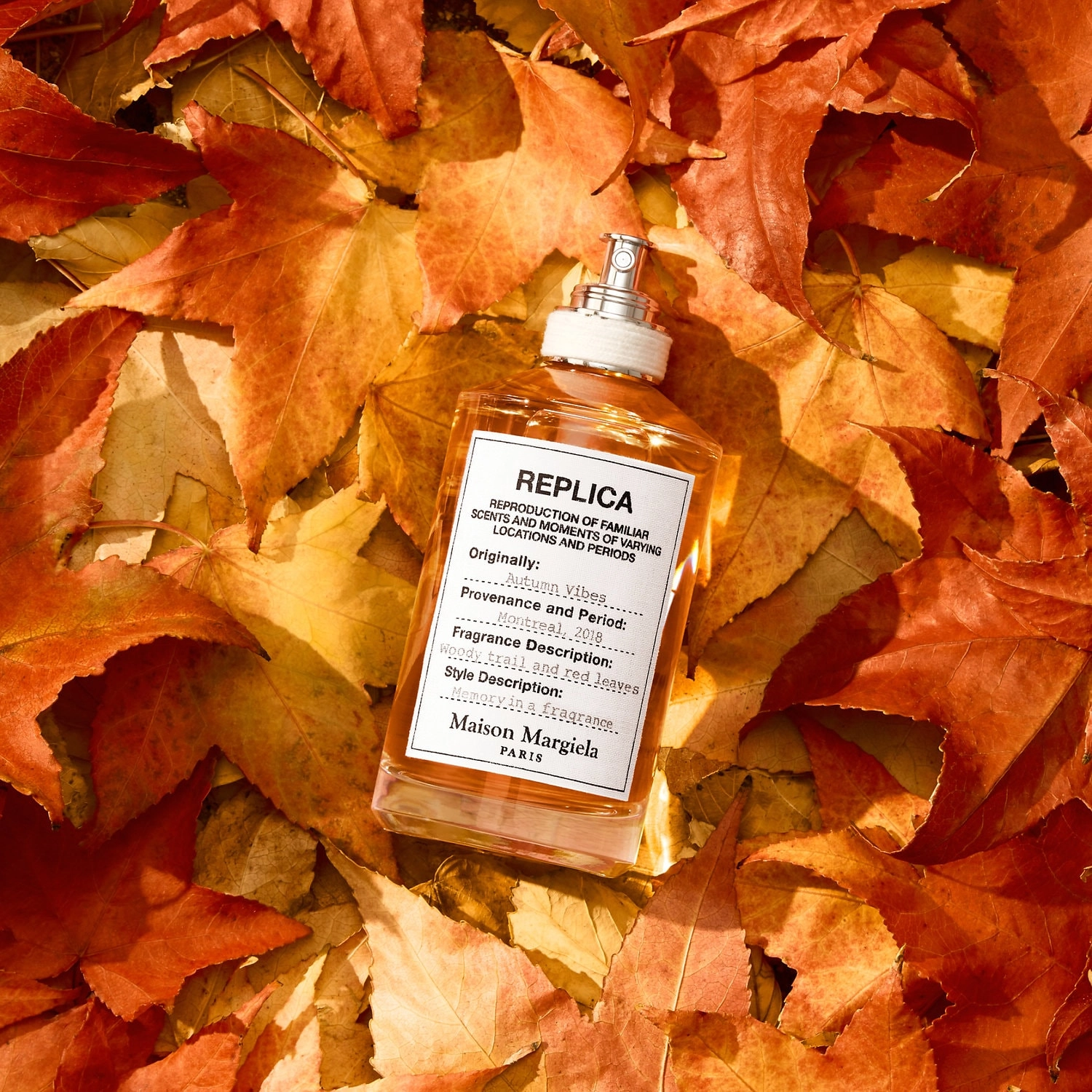 Maison Margiela 'REPLICA' Autumn Vibes 3.4 oz/100 mL Unisex Woody & Earthy Scent - Image 2