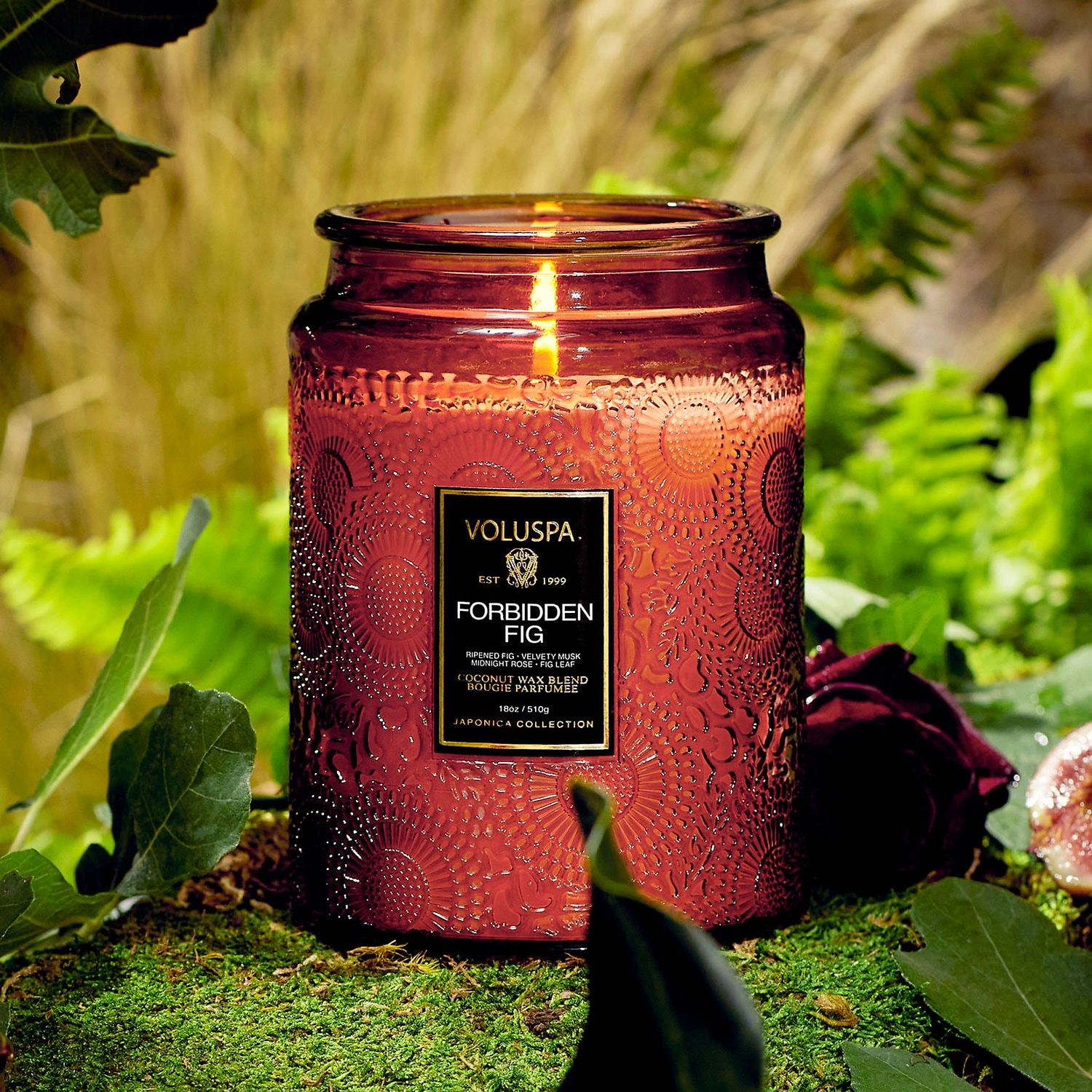 VOLUSPA Forbidden Fig Glass Jar Candle - 18 oz/ 510 g 1-wick Candle - Image 6