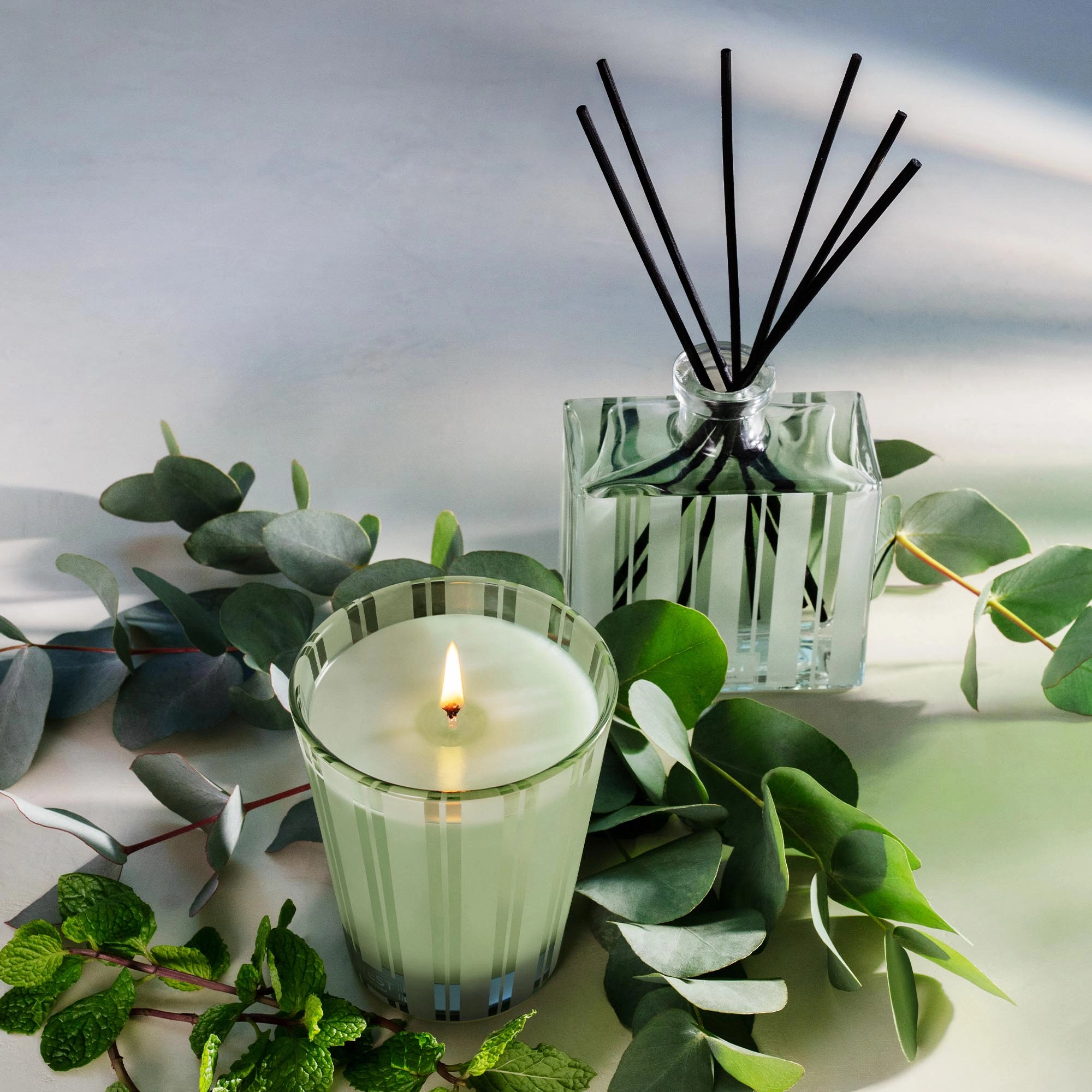 NEST New York Wild Mint & Eucalyptus Candle 2 oz / 70 g Vegan - Image 2