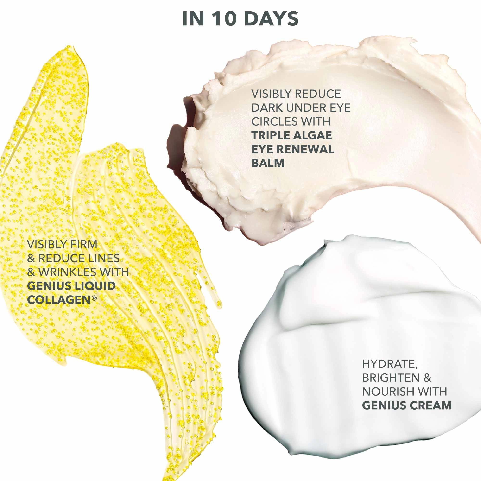 Algenist 10 Day Results Kit - Image 3