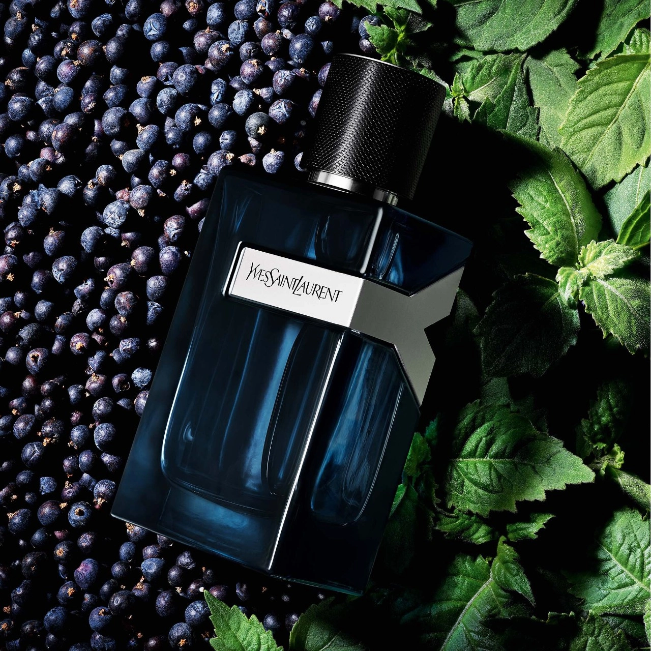 Yves Saint Laurent Y Eau de Parfum Intense 2 oz / 60 mL Parfum Spray - Image 2