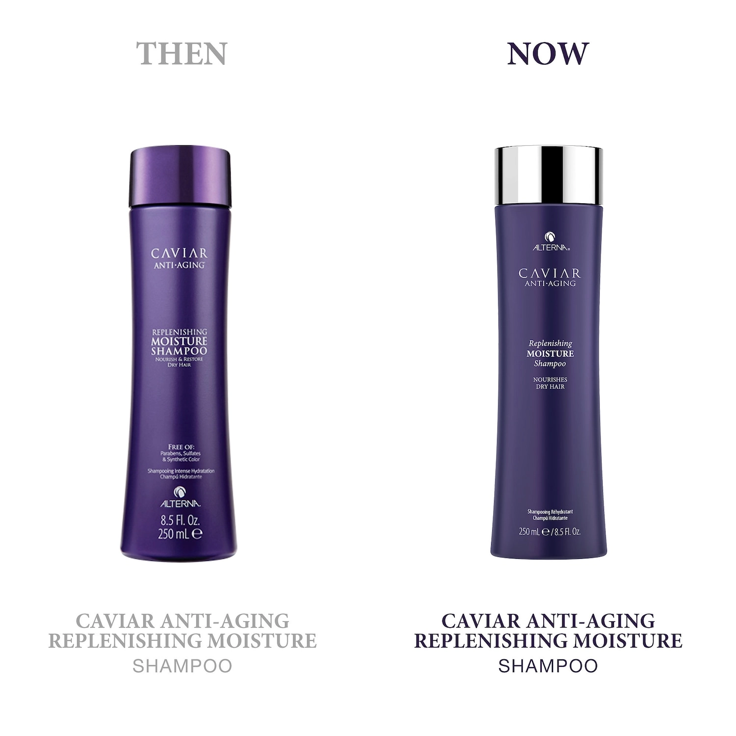 ALTERNA Haircare CAVIAR Anti-Aging® Replenishing Moisture Shampoo 8.5 oz/250 mL Limited Edition - Image 12