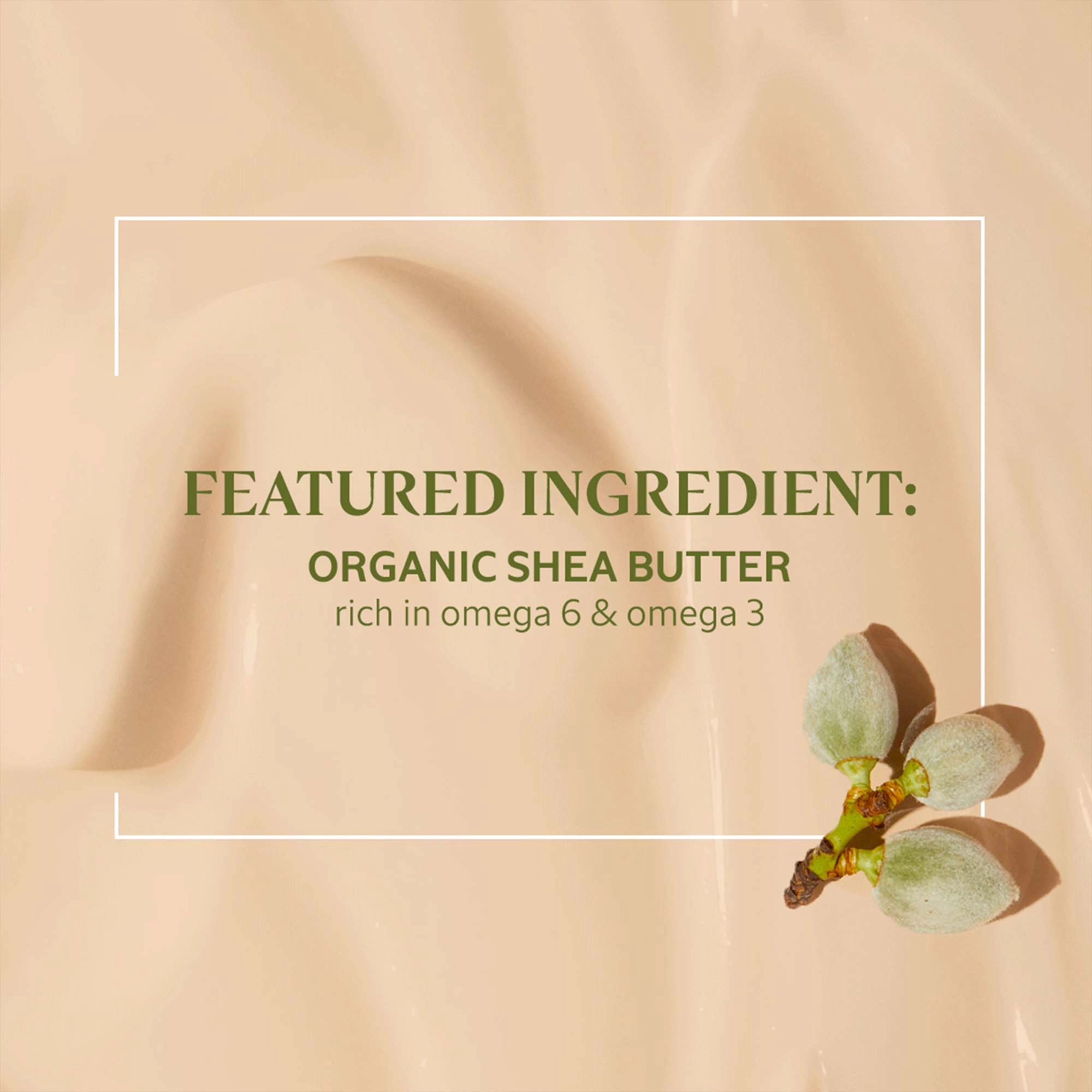 L'Occitane Shea Butter Rich Body Lotion 8.4 oz/250 mL - Nourishing and Moisturizing Cream - Image 3